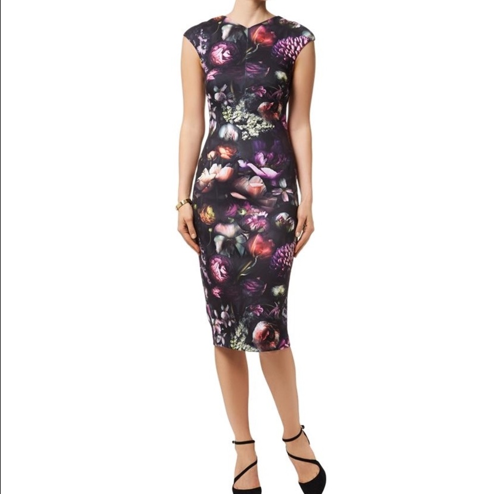 Ted Baker Raisie Shadow Floral Midi Dress Sz 1/4